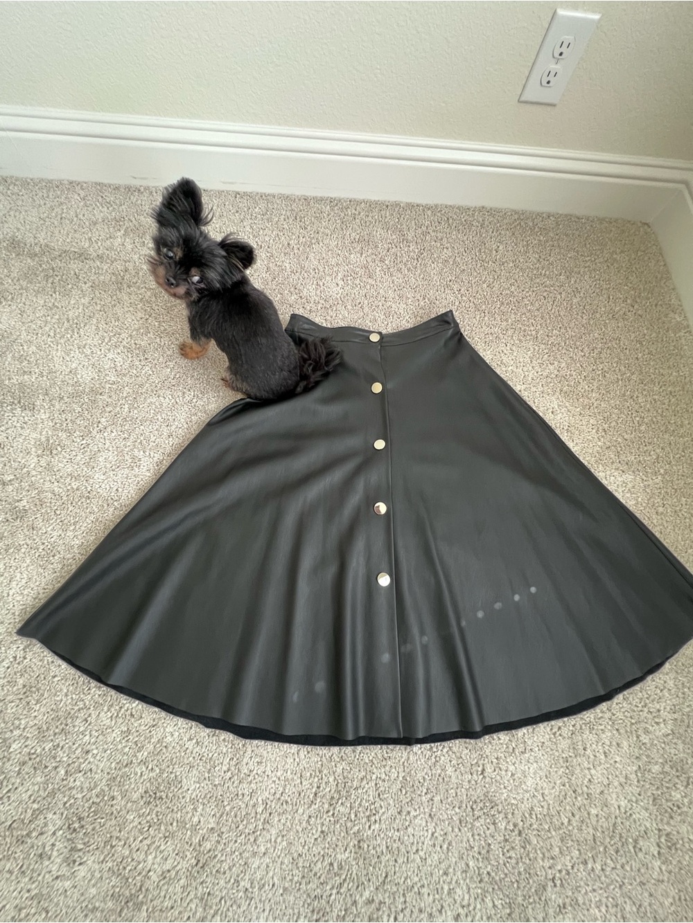 Zara Black Faux Leather Circle Skirt with Front Buttons